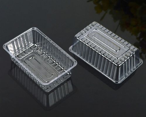 disposable pp plastic sandwich tray container making machine supplier